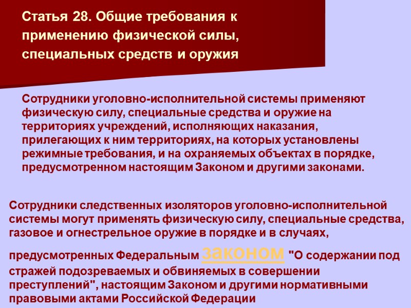Статья 28. Общие требования к применению физической силы, специальных средств и оружия  